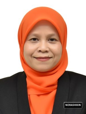 Norashikin binti Abdul Hamid