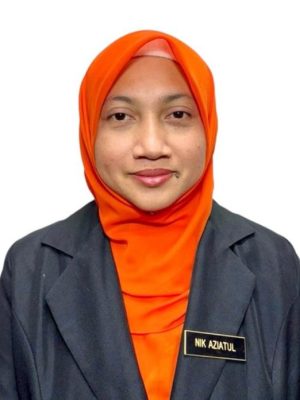 Nik Aziatul Akhmal binti Nik Li