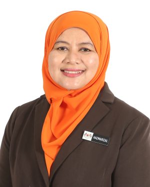 Hazmarizal binti Che Abdul Hamid