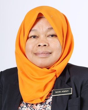 Nor Anah Binti Salim