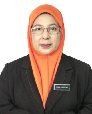 Nor Sarinah Binti Hamin