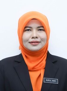 Nurul Anis binti Mohd amin