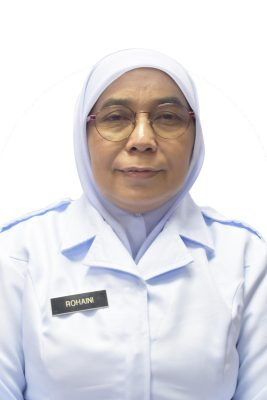 Rohaini Binti Othman @ Raja Deraamn