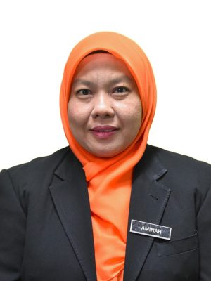 Siti Aminah Binti Reduan