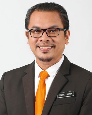 Mohd Hamim bin Ali