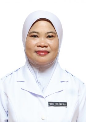 Wan Norhalina Binti Wan Ismail