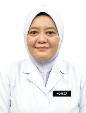 Norliza Bt Mohamed