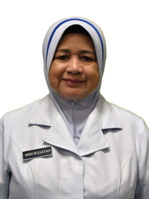 Wan Rogayah Binti Wan Mohamed
